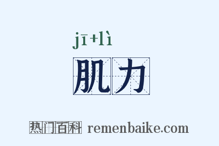 肌力是什么意思的图片